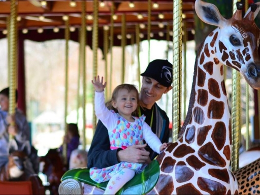 child on carousel giraffe.