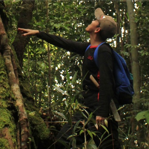 man reaching towards a tree
